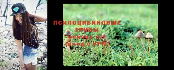 молекула духа Вязники