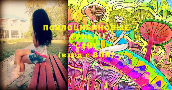 молекула духа Вязники