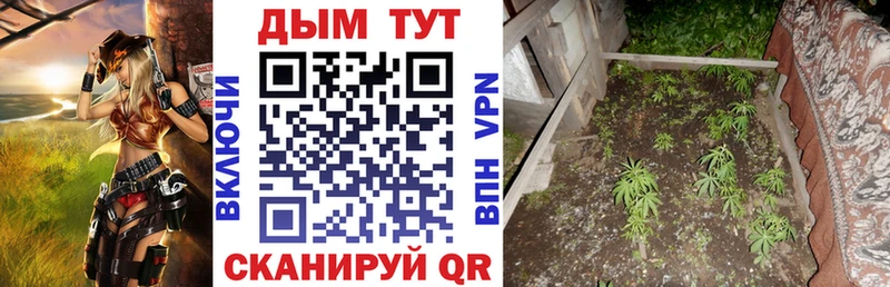 Марихуана Bruce Banner  купить наркотик  Ирбит 